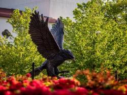 Hawk statue at Montclair State Univesrity.